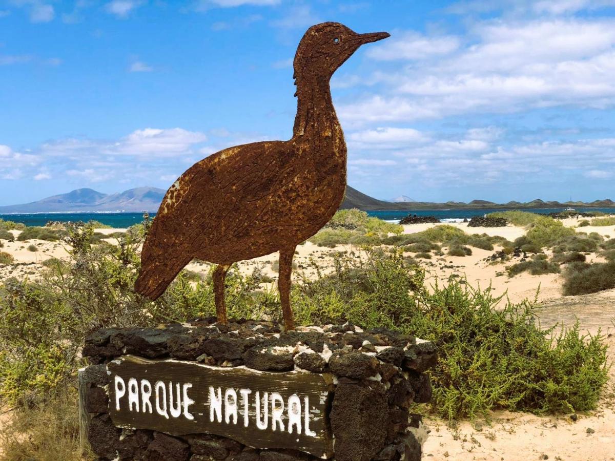 Ivory Ocean Corralejo Daire Dış mekan fotoğraf